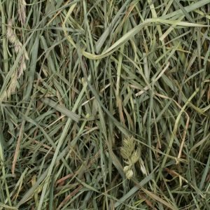 Orchard Hay For Sale