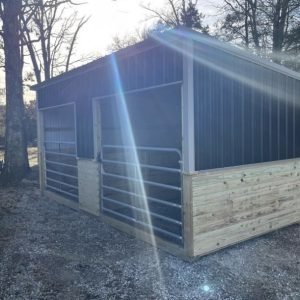10x20 run shed