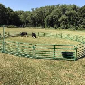 50ft round pen