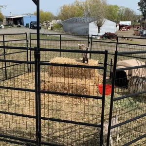 7' Sheet and goat panels